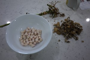 ピーナッツ剥きました（クラフトマーケット）