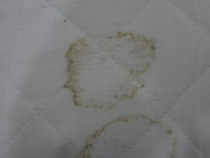 マクラのカビ2